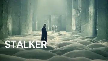 Zasłona do filmu "Stalker" #1798202