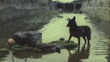 Zasłona do filmu "Stalker" #734096