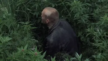 Zasłona do filmu "Stalker" #734101