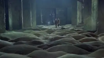 Zasłona do filmu "Stalker" #734112