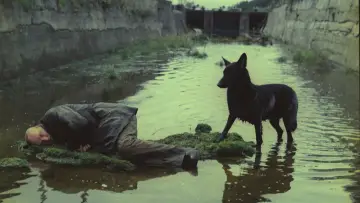 Zasłona do filmu "Stalker" #847162