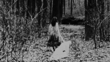 Zasłona do filmu "Begotten" #1803157