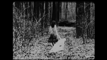 Zasłona do filmu "Begotten" #1868625