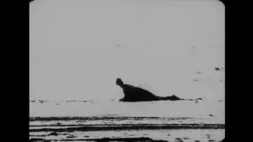 Zasłona do filmu "Begotten" #1868626