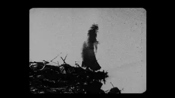 Zasłona do filmu "Begotten" #1868627