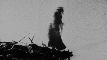 Zasłona do filmu "Begotten" #1868628