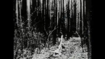 Zasłona do filmu "Begotten" #486570