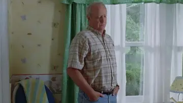 Zasłona do filmu "Świetlik" #460556