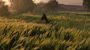 Zasłona do filmu "Królestwo niebieskie" #618696