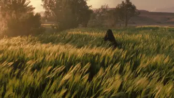 Zasłona do filmu "Królestwo niebieskie" #832015