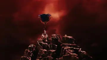 Zasłona do filmu "Labirynt fauna" #1852337