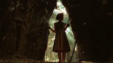 Zasłona do filmu "Labirynt fauna" #187885