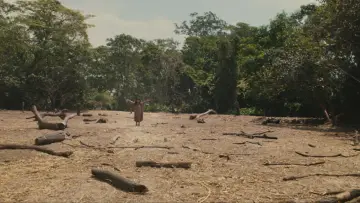 Zasłona do filmu "Apocalypto" #579780
