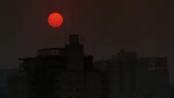 Zasłona do filmu "Sans soleil" #1099355