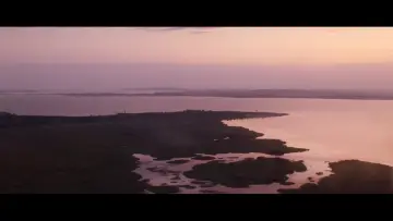 Zasłona do filmu "Ostatni król Szkocji" #1533295