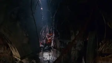 Zasłona do filmu "Straceni chłopcy" #1628503
