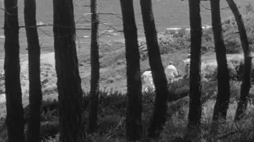 Zasłona do filmu "Jules i Jim" #985795