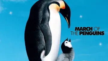 Zasłona do filmu "Marsz pingwinów" #1019472