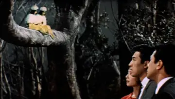 Zasłona do filmu "Mothra kontra Godzilla" #811364