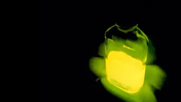 Zasłona do filmu "Re-Animator" #875508