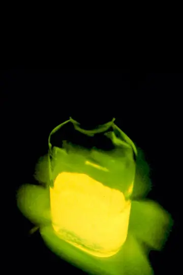 Plakat do filmu "Re-Animator" #875603