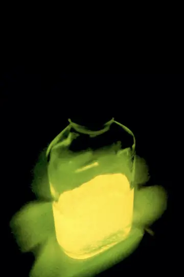 Plakat do filmu "Re-Animator" #875608