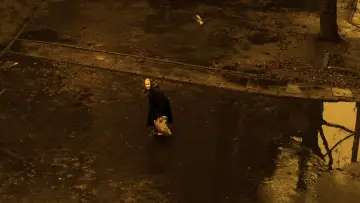 Zasłona do filmu "Podwójne życie Weroniki" #986461
