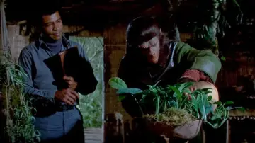 Zasłona do filmu "Bitwa o Planetę Małp" #873727