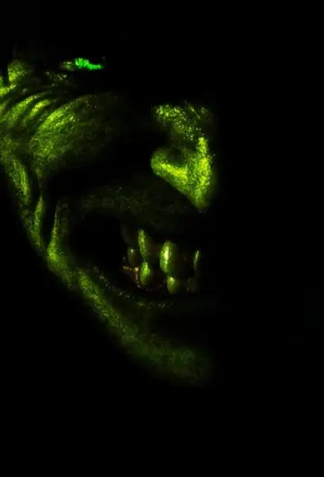 Niesamowity Hulk