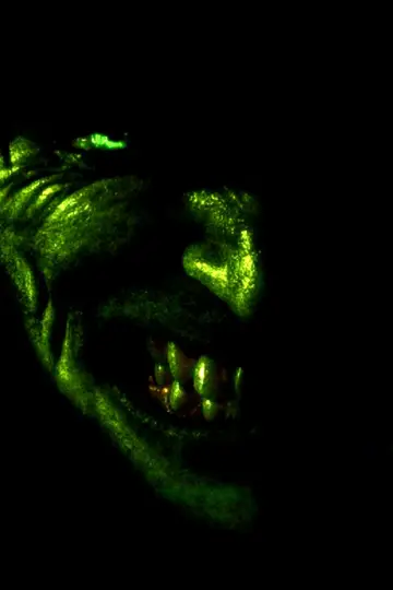 Plakat do filmu "Niesamowity Hulk" #1893026