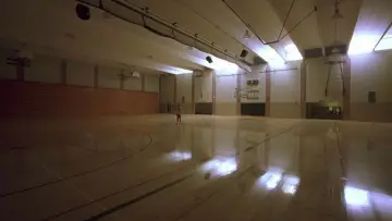 Zasłona do filmu "Słoń" #792725