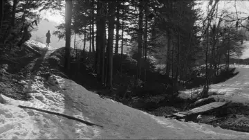 Zasłona do filmu "Strzelajcie do pianisty!" #989496