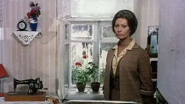Zasłona do filmu "Słoneczniki" #449906