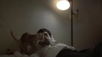 Zasłona do filmu "Długie pożegnanie" #905830
