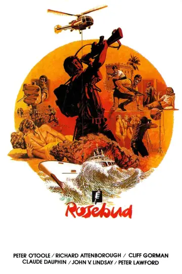 Plakat do filmu "Różyczka" #635399