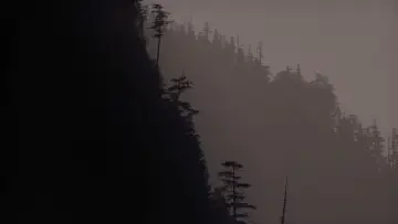 Zasłona do filmu "Miasteczko Twin Peaks: Ogniu krocz za mną" #643227