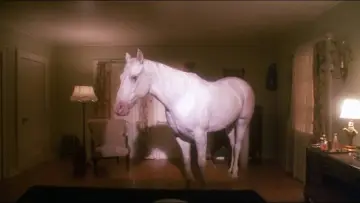Zasłona do filmu "Miasteczko Twin Peaks: Ogniu krocz za mną" #847020
