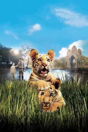 Plakat do filmu "Dwaj bracia" #236784