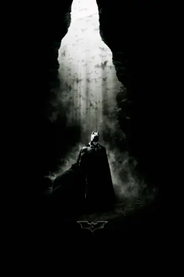 Plakat do filmu "Batman - Początek" #201308