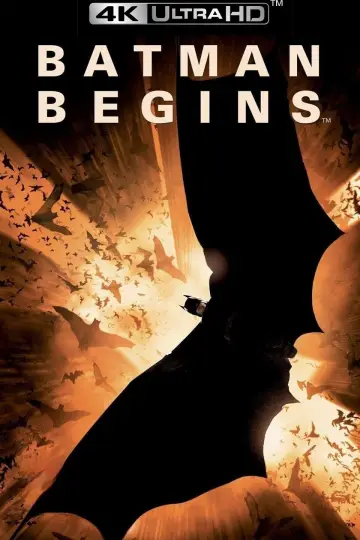 Plakat do filmu "Batman - Początek" #23912