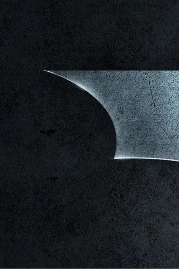 Plakat do filmu "Batman - Początek" #23925