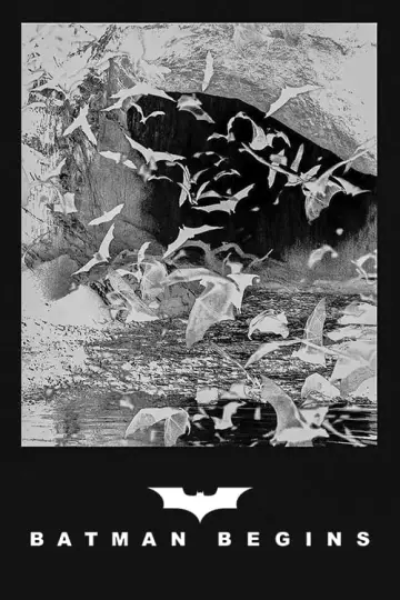 Plakat do filmu "Batman - Początek" #442686