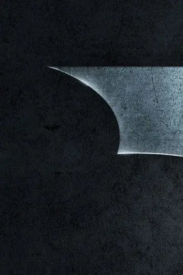 Plakat do filmu "Batman - Początek" #558727