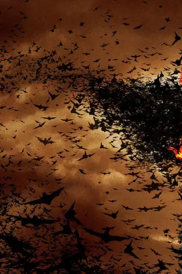 Plakat do filmu "Batman - Początek" #558745