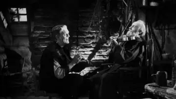 Zasłona do filmu "Narzeczona Frankensteina" #897222
