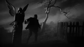 Zasłona do filmu "Narzeczona Frankensteina" #897237