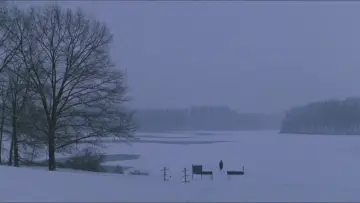 Zasłona do filmu "Stowarzyszenie Umarłych Poetów" #573880