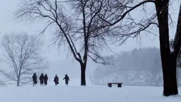 Zasłona do filmu "Stowarzyszenie Umarłych Poetów" #573903