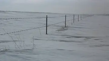 Zasłona do filmu "Fargo" #1198607