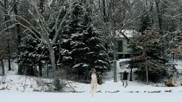 Zasłona do filmu "Fargo" #620693